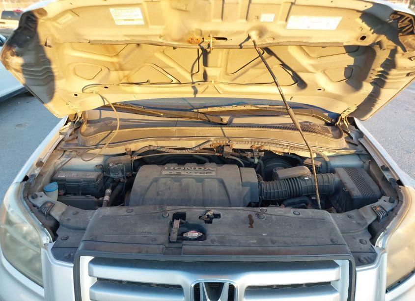 Photo 10 of 2006 Honda Pilot EX-L (VIN 5FNYF187X6B028598)