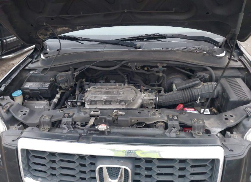 Photo 10 of 2007 Honda Pilot EX (VIN 5FNYF284X7B003620)