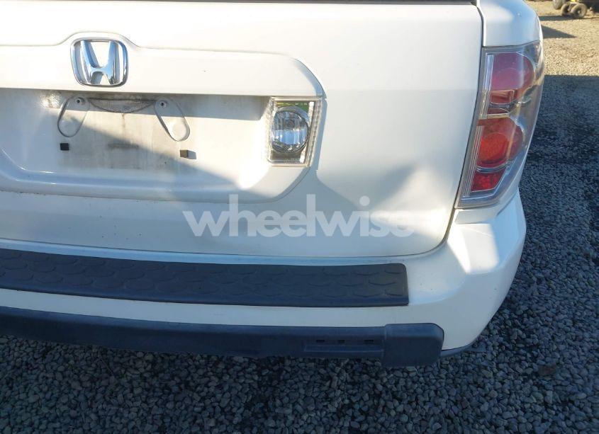 Photo 6 of 2007 Honda Pilot EX-L (VIN 5FNYF28507B035646)