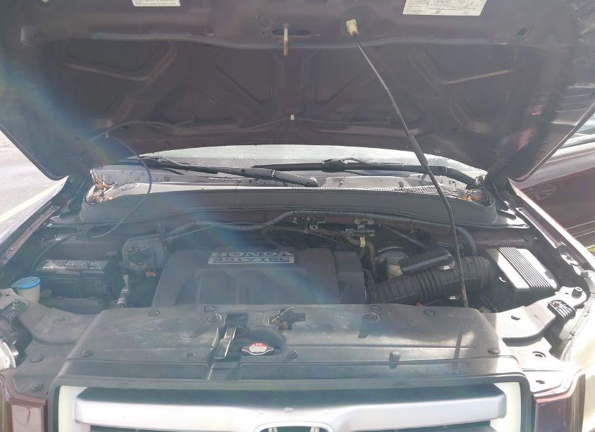 Photo 10 of 2007 Honda Pilot EX-L (VIN 5FNYF28557B019071)