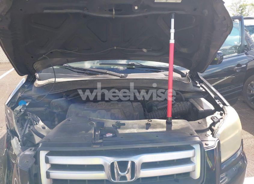 Photo 10 of 2006 Honda Pilot EX-L (VIN 5FNYF28586B017961)