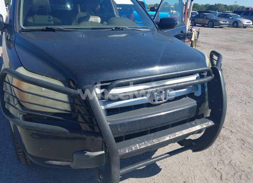 Photo 12 of 2006 Honda Pilot EX-L (VIN 5FNYF285X6B006749)