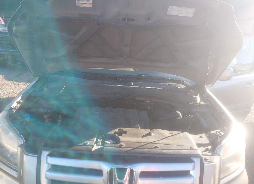 Photo 10 of 2007 Honda Pilot EXL (VIN 5FNYF28637B042650)