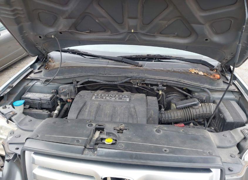 Photo 10 of 2007 Honda Pilot EX-L (VIN 5FNYF28777B013323)