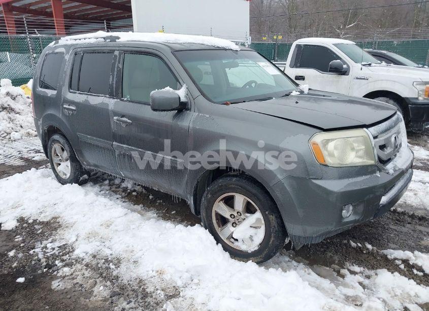 2009 Honda Pilot EX (VIN 5FNYF38489B000742) main photo