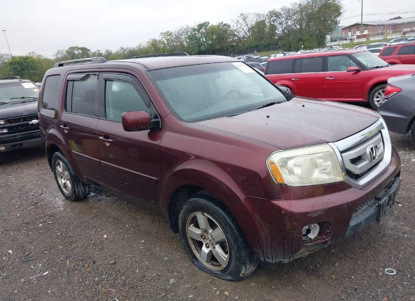 2009 Honda Pilot EX-L (VIN 5FNYF38519B024910) main photo