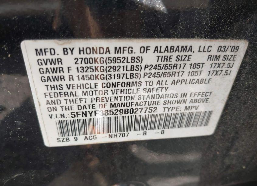 Photo 9 of 2009 Honda Pilot EX-L (VIN 5FNYF38529B027752)