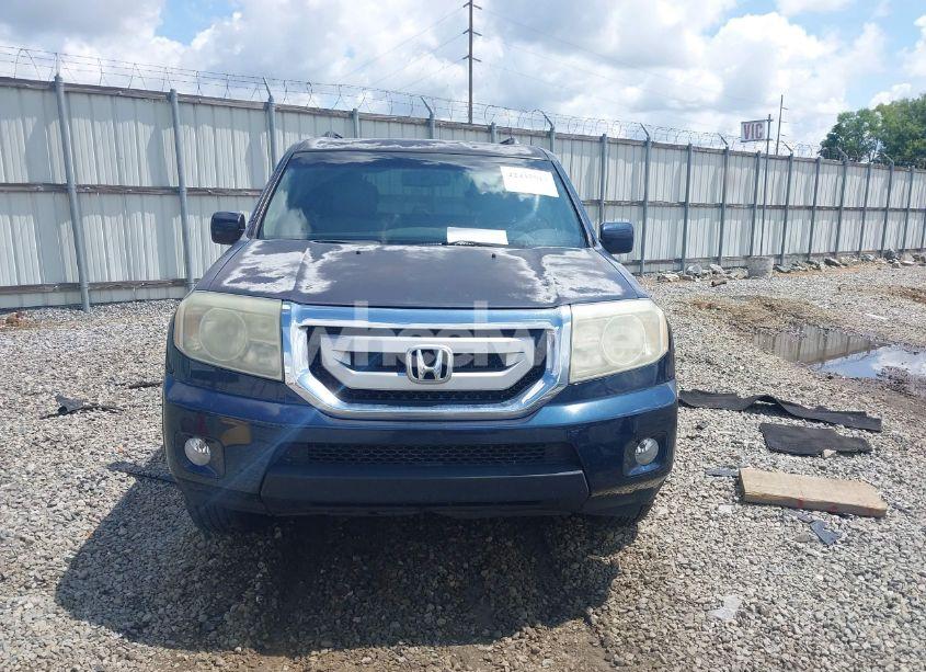 Photo 12 of 2009 Honda Pilot EX-L (VIN 5FNYF38539B026786)