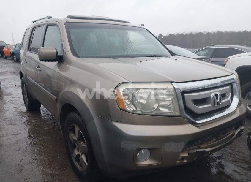 2009 Honda Pilot EX-L (VIN 5FNYF38549B021550) main photo