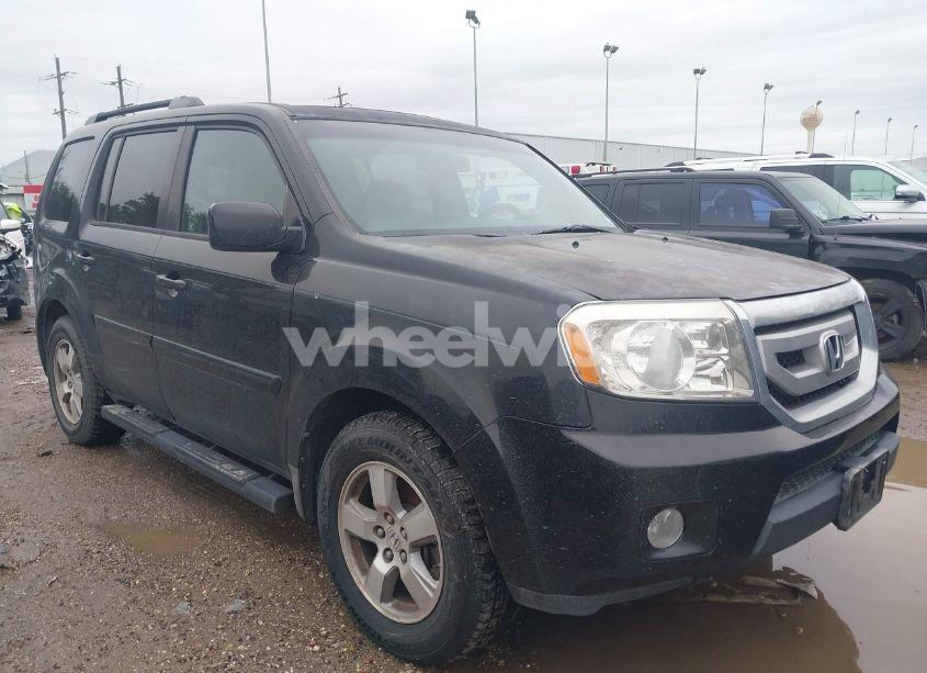 2009 Honda Pilot EX-L (VIN 5FNYF38559B000822) main photo