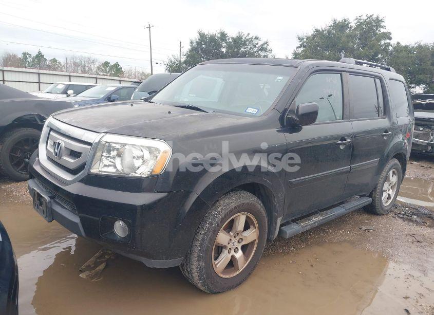 Photo 2 of 2009 Honda Pilot EX-L (VIN 5FNYF38559B000822)