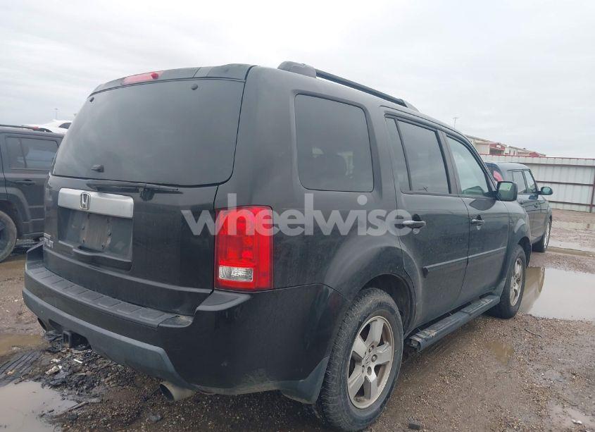 Photo 4 of 2009 Honda Pilot EX-L (VIN 5FNYF38559B000822)