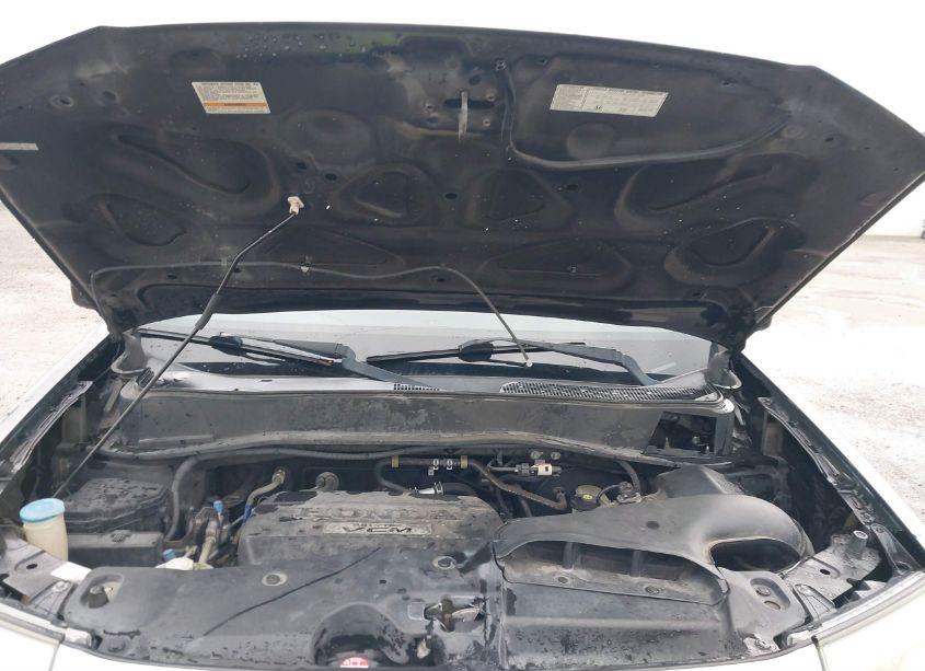 Photo 10 of 2009 Honda Pilot EX-L (VIN 5FNYF38569B001154)