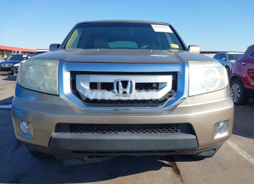 Photo 13 of 2009 Honda Pilot EX-L (VIN 5FNYF38569B017838)