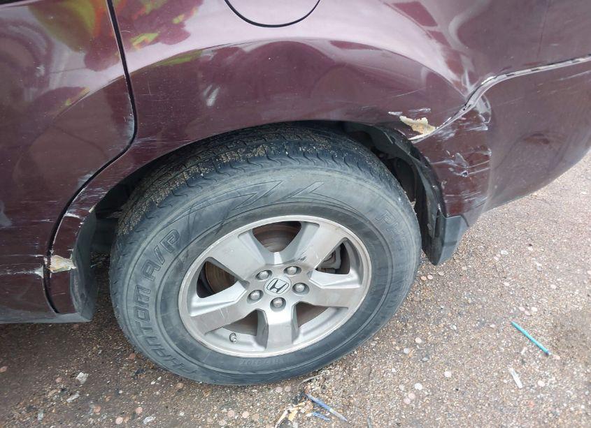 Photo 11 of 2009 Honda Pilot EX-L (VIN 5FNYF38579B021588)