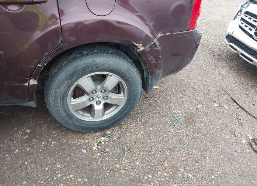 Photo 6 of 2009 Honda Pilot EX-L (VIN 5FNYF38579B021588)