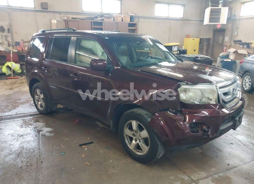 2009 Honda Pilot EX-L (VIN 5FNYF38599B013105) main photo