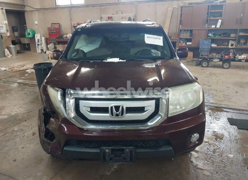 Photo 12 of 2009 Honda Pilot EX-L (VIN 5FNYF38599B013105)