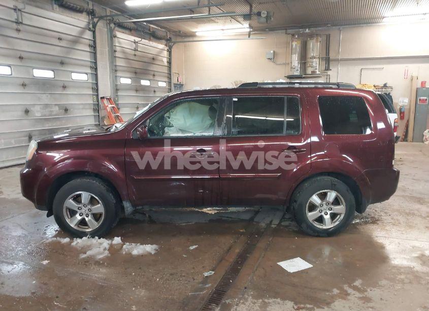 Photo 14 of 2009 Honda Pilot EX-L (VIN 5FNYF38599B013105)