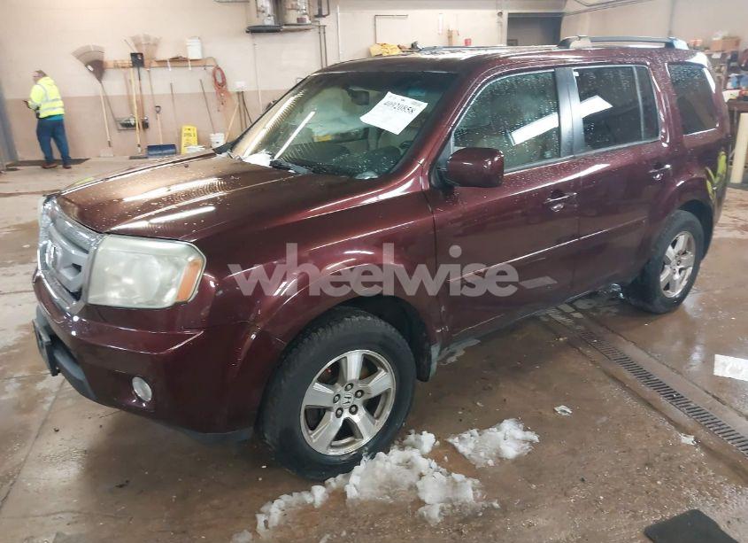 Photo 2 of 2009 Honda Pilot EX-L (VIN 5FNYF38599B013105)