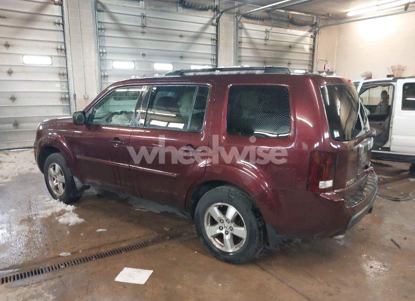 Photo 3 of 2009 Honda Pilot EX-L (VIN 5FNYF38599B013105)