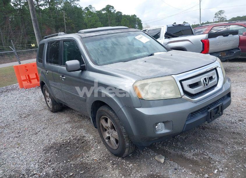 2009 Honda Pilot EX-L (VIN 5FNYF38599B018918) main photo