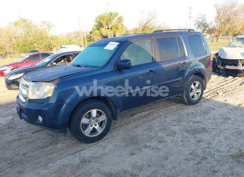 Photo 2 of 2009 Honda Pilot EX-L (VIN 5FNYF38659B018794)