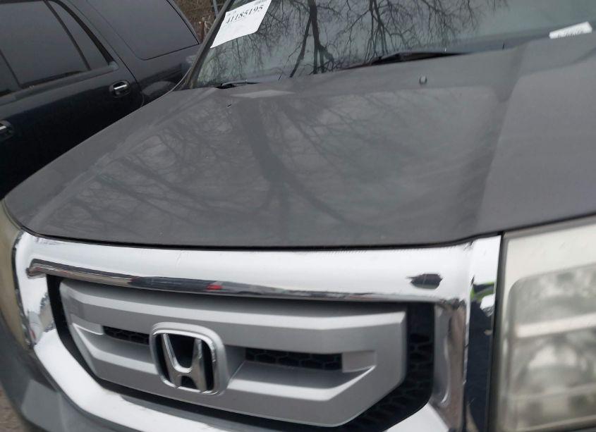 Photo 10 of 2009 Honda Pilot EX-L (VIN 5FNYF38689B007689)