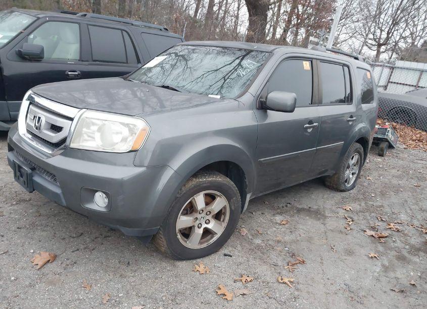 Photo 2 of 2009 Honda Pilot EX-L (VIN 5FNYF38689B007689)
