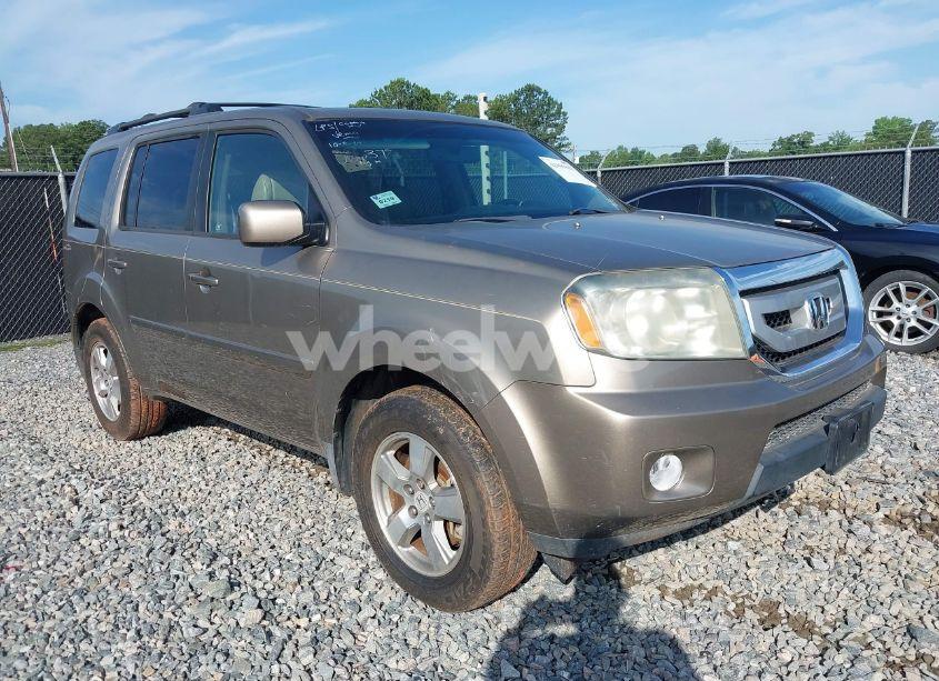 2009 Honda Pilot EX-L (VIN 5FNYF38699B006373) main photo