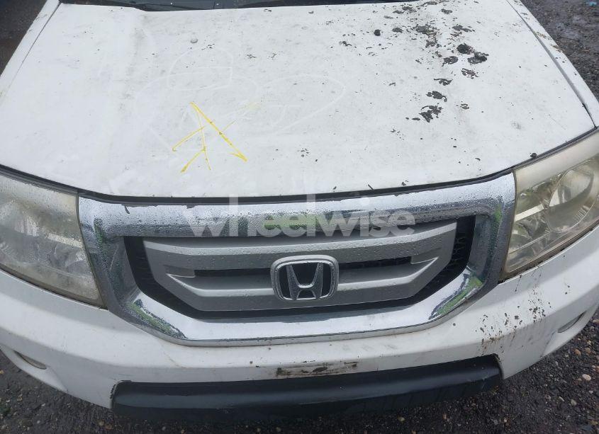 Photo 10 of 2009 Honda Pilot TOURING (VIN 5FNYF38819B003632)