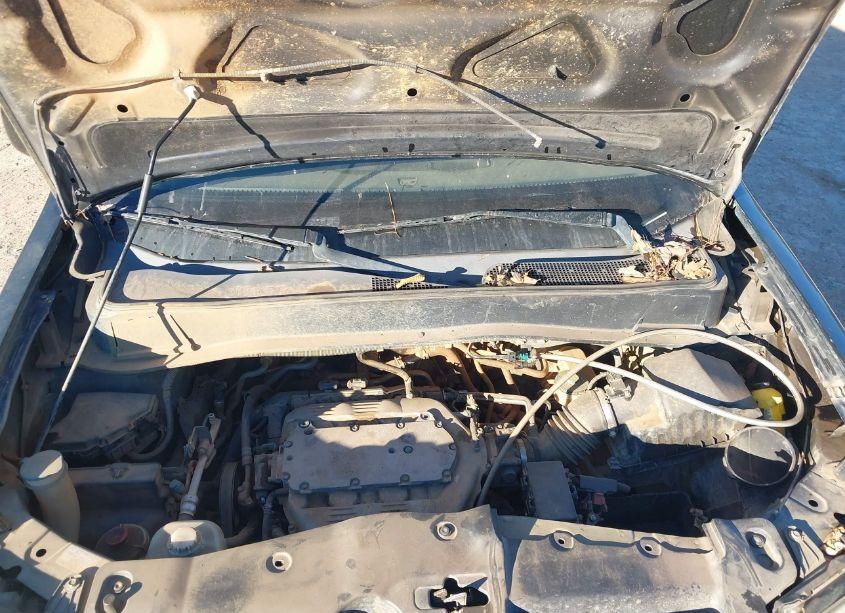 Photo 10 of 2009 Honda Pilot TOURING (VIN 5FNYF38929B003485)