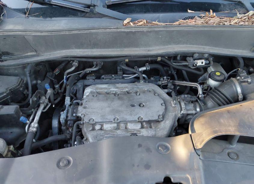 Photo 10 of 2014 Honda Pilot LX (VIN 5FNYF3H2XEB013288)