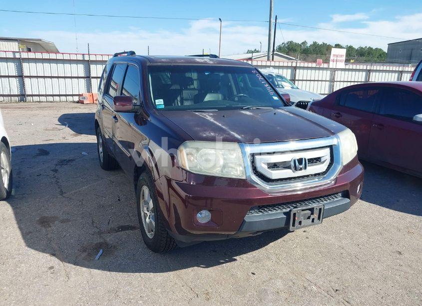 2011 Honda Pilot EX-L (VIN 5FNYF3H52BB037882) main photo