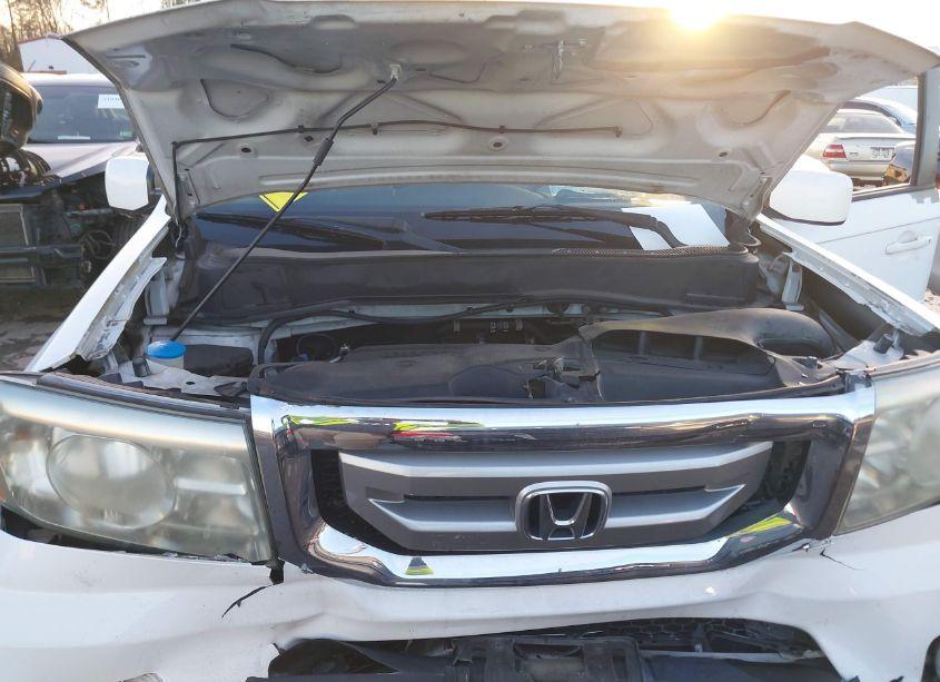 Photo 10 of 2011 Honda Pilot EX-L (VIN 5FNYF3H56BB014802)