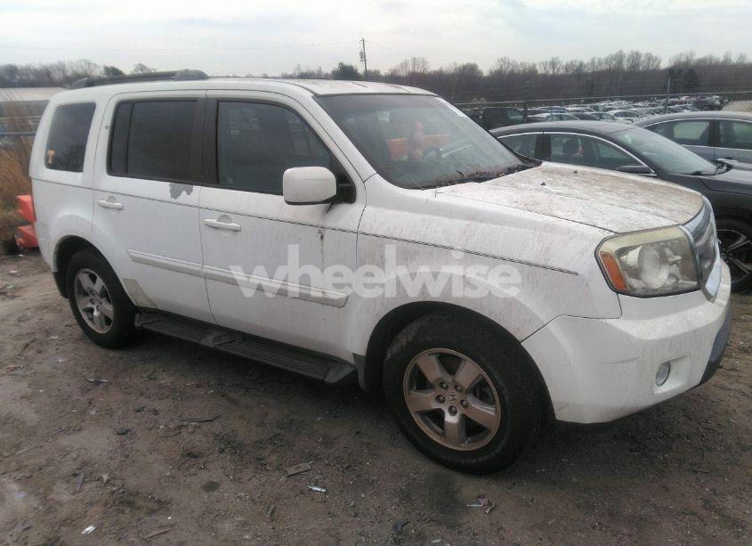 2011 Honda Pilot EX-L (VIN 5FNYF3H57BB014856) main photo