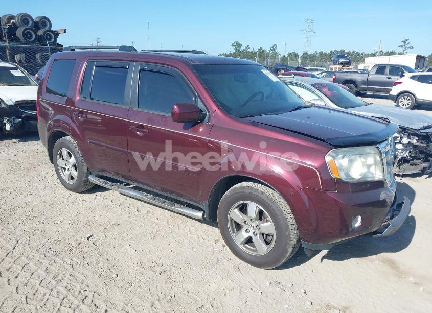 2011 Honda Pilot EX-L (VIN 5FNYF3H57BB030295) main photo
