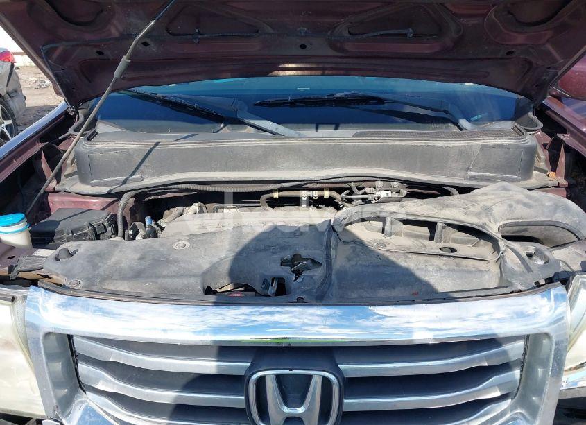 Photo 10 of 2013 Honda Pilot EX-L (VIN 5FNYF3H58DB032933)