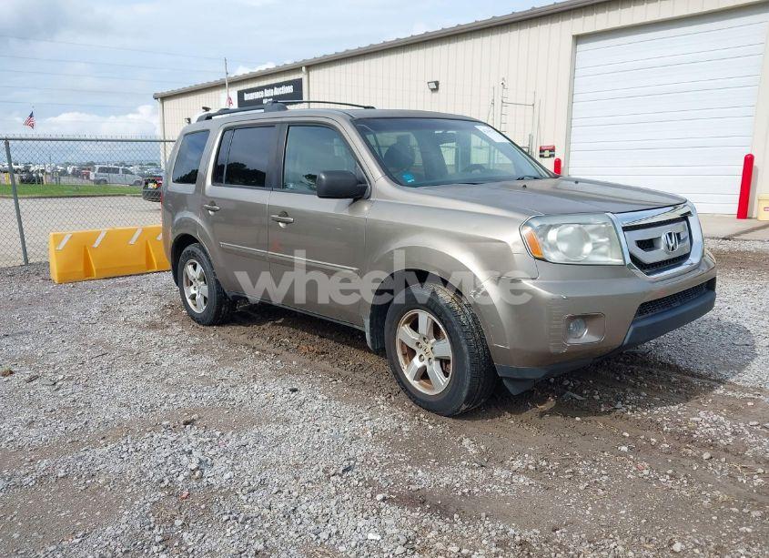 2010 Honda Pilot EX-L (VIN 5FNYF3H62AB004324) main photo