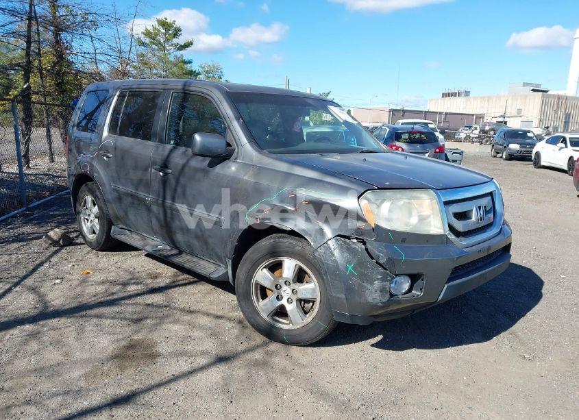 2011 Honda Pilot EX-L (VIN 5FNYF3H63BB038550) main photo