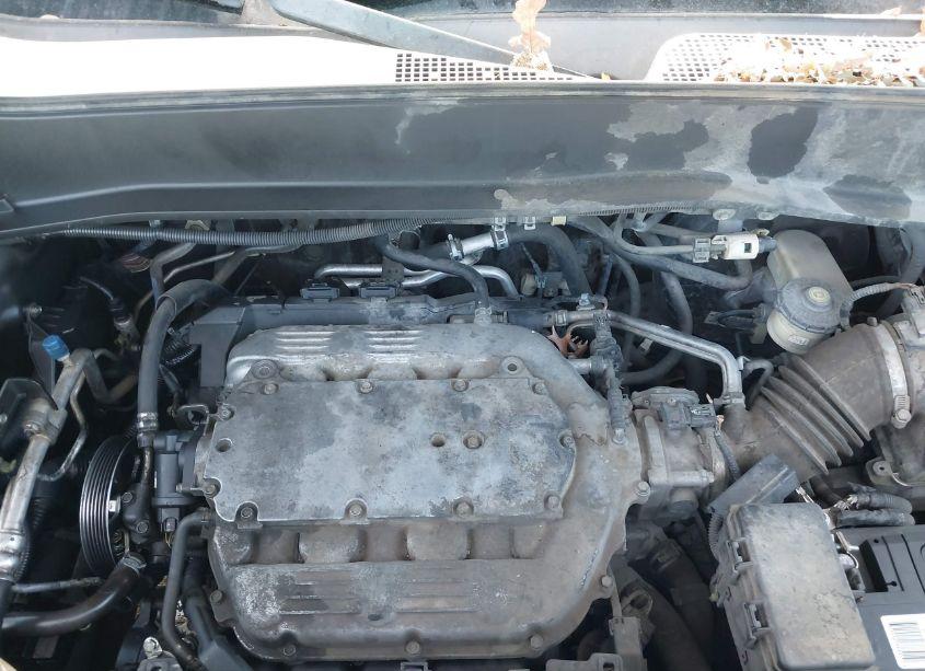 Photo 10 of 2010 Honda Pilot TOURING (VIN 5FNYF3H99AB023382)