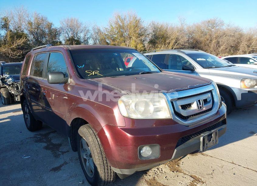 2009 Honda Pilot EX (VIN 5FNYF48419B005187) main photo