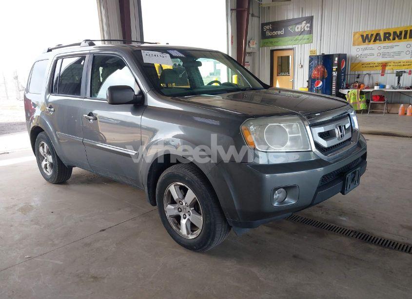 2009 Honda Pilot EX (VIN 5FNYF48419B021891) main photo