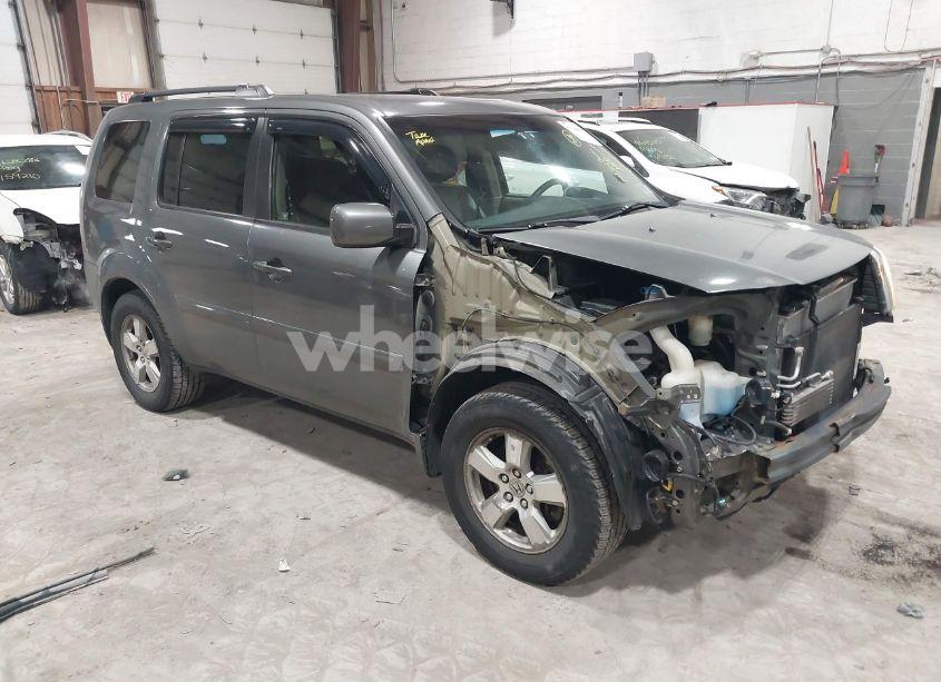 2009 Honda Pilot EX (VIN 5FNYF48429B001391) main photo