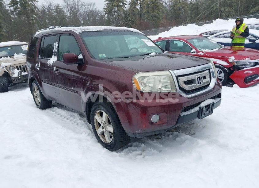 2009 Honda Pilot EX (VIN 5FNYF48439B005708) main photo