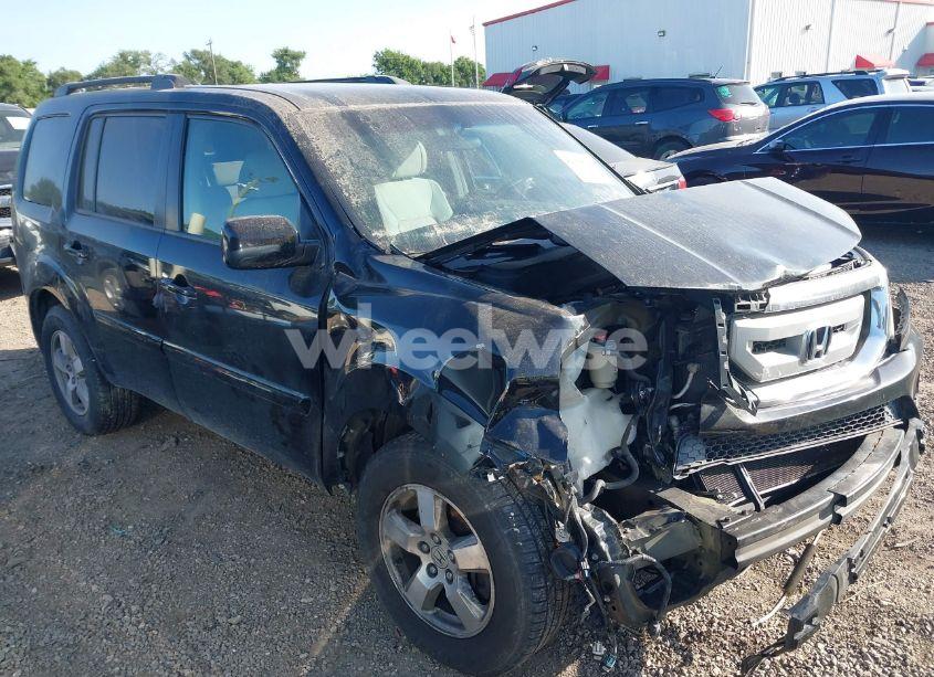 2009 Honda Pilot EX (VIN 5FNYF48449B020508) main photo