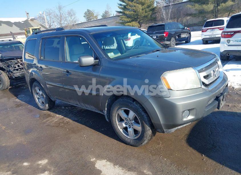 2009 Honda Pilot EX (VIN 5FNYF48489B004571) main photo
