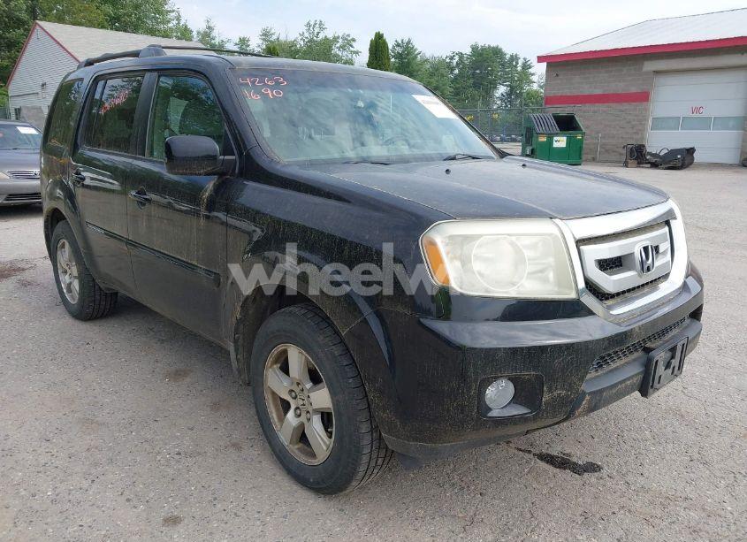 2009 Honda Pilot EX (VIN 5FNYF484X9B008900) main photo