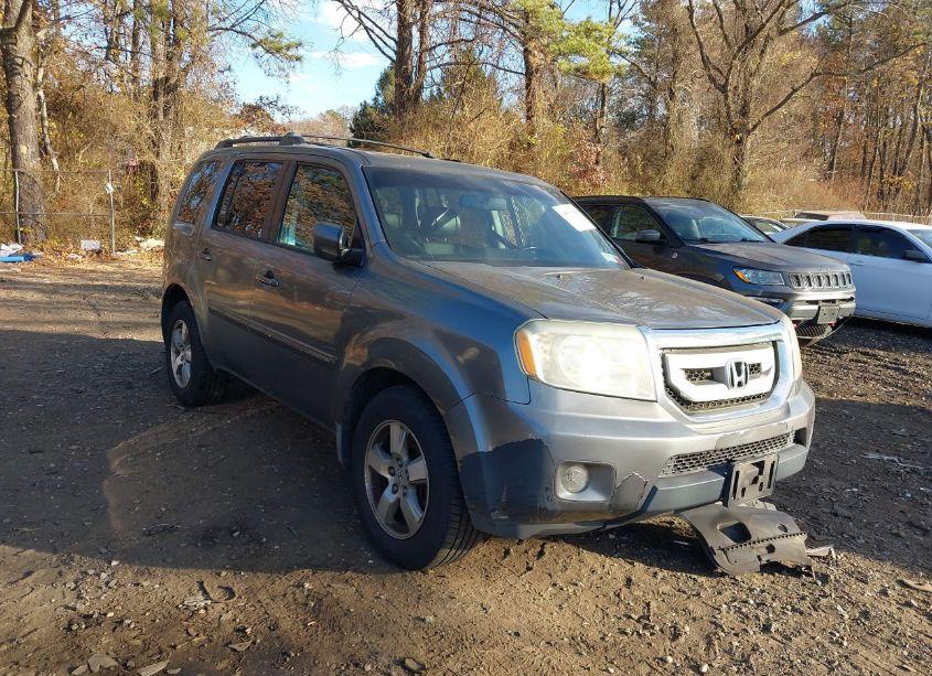 2009 Honda Pilot EX-L (VIN 5FNYF48509B034270) main photo