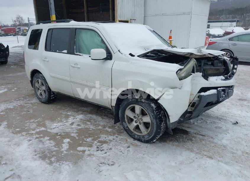 2009 Honda Pilot EX-L (VIN 5FNYF48519B023195) main photo